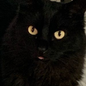 Meet your Posher, Paula